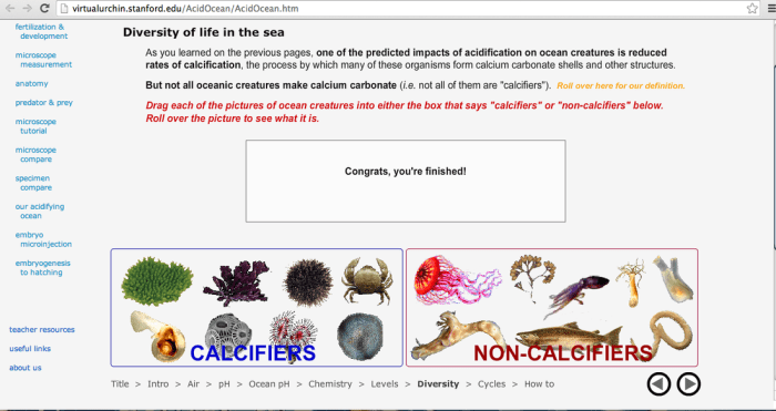 The virtual urchin answer key pdf