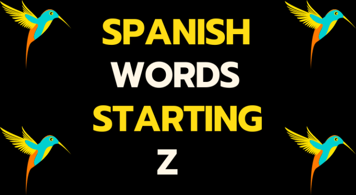 Spanish adjectives that start with z