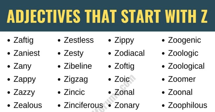 Spanish adjectives that start with z