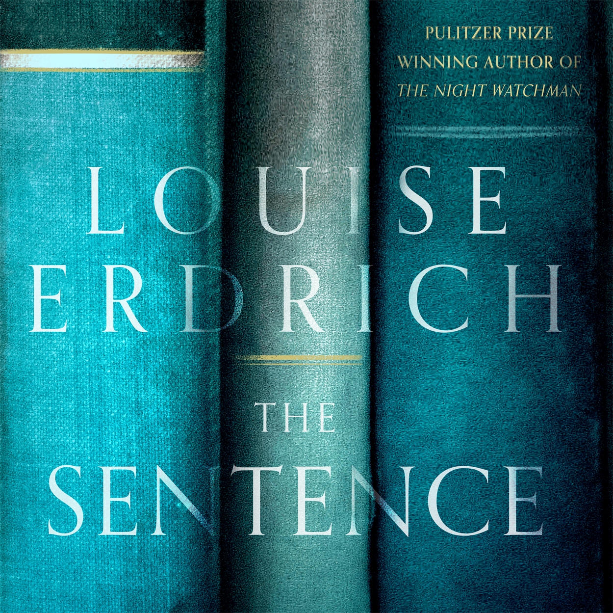 Louise erdrich dear john wayne