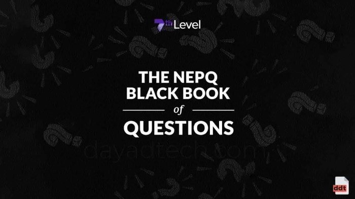 Nepq black book of questions pdf