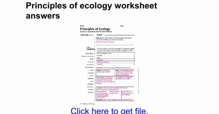 Principles of ecology worksheet answers