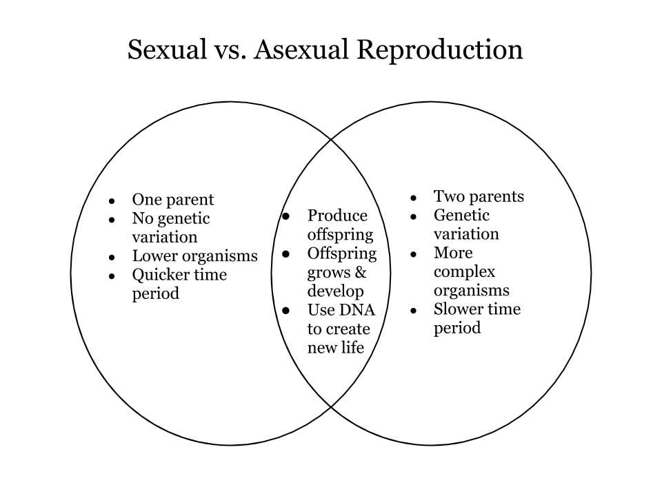 Sexual vs asexual reproduction venn diagram