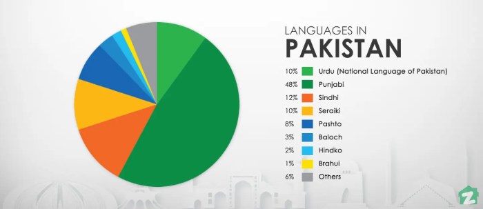 Official language of pakistan crossword