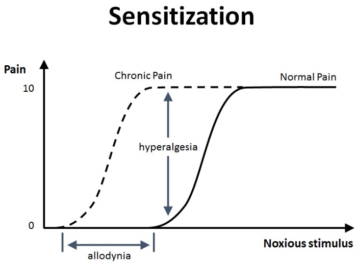 Which event occurs with the sensitizing dose of allergen